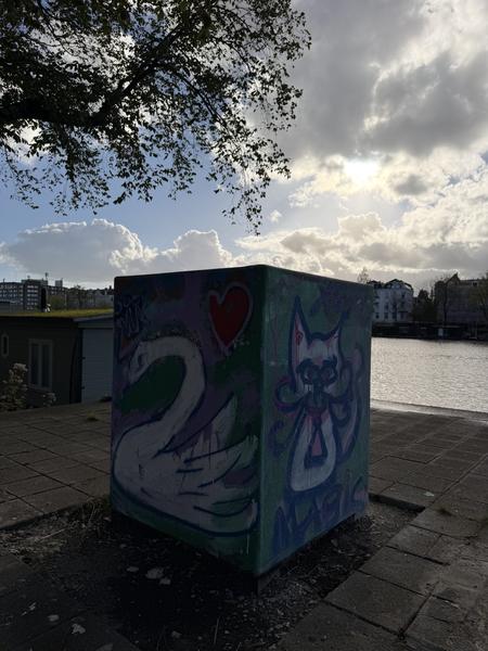 This photo captures a vibrant graffiti-covered utility box featuring a swan and a cat, set against the backdrop of the Weesperzijde canal in Oost, Amsterdam